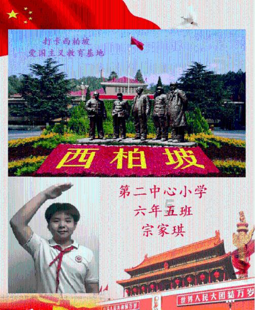 植物大战僵尸：花园战争